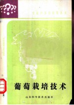 葡萄栽培技术
