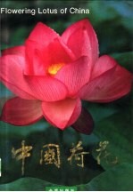中国荷花 中英文对照