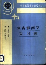 家畜解剖学实习图