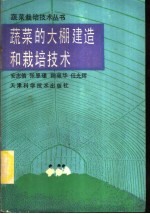 蔬菜的大棚建造和栽培技术
