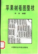 苹果树看图整枝