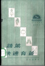 蔬菜快速育苗