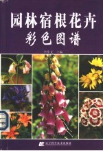 园林宿根花卉彩色图谱