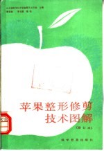 苹果整形修剪技术图解
