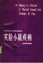 实验小鼠疾病