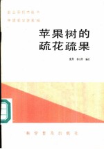 苹果树的疏花疏果
