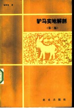驴马实地解剖