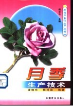 月季生产技术