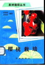 樱桃栽培