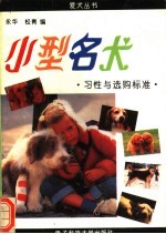 小型名犬习性与选购标准