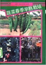 蔬菜春季早熟栽培