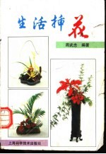 生活插花