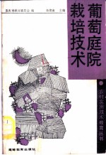 葡萄庭院栽培技术
