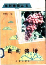 葡萄栽培