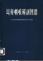 耳鼻咽喉解剖图谱