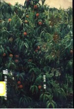 桃艺新探
