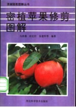 密植苹果修剪图解