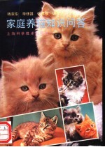 家庭养猫知识问答