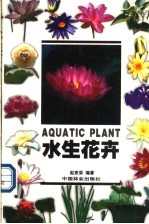 水生花卉