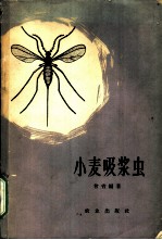 小麦吸浆虫