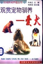 观赏宠物驯养 爱犬