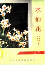 水仙花