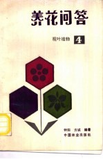 养花问答 4 观叶植物