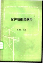 保护地细菜栽培