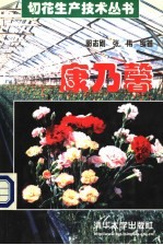 康乃馨