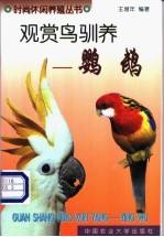 观赏鸟驯养 鹦鹉