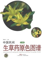 中国民间生草药原色图谱 上