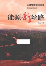 能源新丝路 中缅管道建设实录