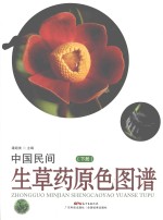 中国民间生草药原色图谱 下