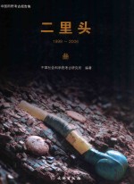二里头 1999-2006 3