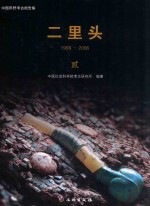 二里头 1999-2006 2