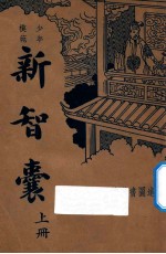 新智囊 上 少年模范