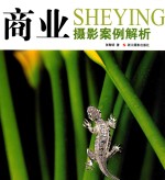 商业摄影案例解析