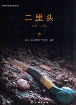 二里头 1999-2006 1