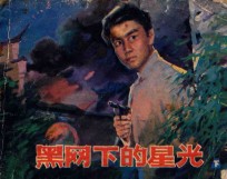 黑网下的星光 下