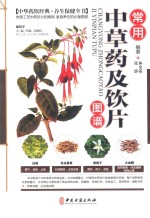 常用中草药及饮片图谱
