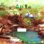 森林里的泉水