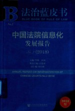 2018中国法院信息化发展报告 No.2