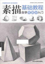 素描基础教程 自学零基础入门