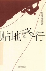 贴地飞行