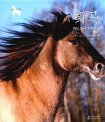 野马