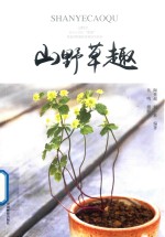 山野草趣