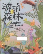 琥珀森林 6-12岁
