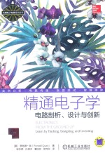 精通电子学 电路剖析、设计与创新