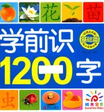 基础篇 学前识1200字