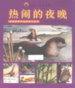 出发 去大自然 热闹的夜晚